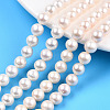 Natural Cultured Freshwater Pearl Beads Strands PEAR-N016-07A-2