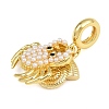 Brass Pave ABS Imitation Pearl Crab Shell Shape European Dangle Charms X-KK-I352-11G-3