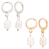 2 Pairs 2 Colors Plastic Imitaion Pearl Beaded Dangle Leverback Earrings EJEW-FI0001-03-1
