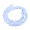 Natural Blue Chalcedony Beads Strands G-K310-C12-10mm-2
