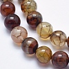 Natural Dragon Veins Agate Beads Strands G-K256-62-10mm-3