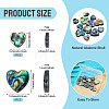 12Pcs 2 Styles Natural Abalone Shell/Paua Shell Beads SHEL-TA0001-41-3