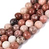 Natural Plum Blossom Jasper Beads Strands G-Q601-13A-02-2