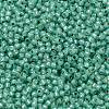 TOHO 11/0 Round Beads X-SEED-TR11-PF2119-2