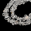 Natural Quartz Crystal Chip Beads Strands G-M205-01A-4
