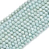 Electroplate Bicone Glass Beads Strands GL-T021-2.5x3mm-16-18-1