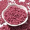 Baking Paint Glass Seed Beads SEED-A032-02A-04-2