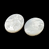 Carved Natural White Shell Cabochons SSHEL-N038-08C-02-2