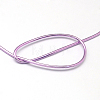 Round Aluminum Wire AW-S001-4.0mm-06-3