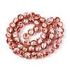 Handmade Gold Sand Lampwork Beads LAMP-T024-11F-4