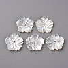 Natural White Shell Mother of Pearl Shell Beads SSHEL-R144-37-1