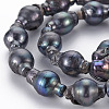 Natural Keshi Pearl Beads Strands PEAR-S021-151-3