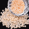 (Repacking Service Available) Glass Seed Beads SEED-C020-2mm-147-1