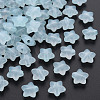 Transparent Acrylic Beads MACR-S373-26E-07-1