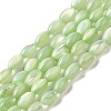 Natural Trochus Shell Beads Strands SHEL-K006-19E-1