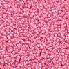 TOHO Round Seed Beads X-SEED-TR11-0191C-2