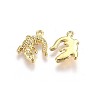 Alloy Pendants X-TIBEP-A040-015G-NR-2