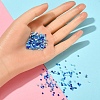 8500Pcs 10 Style Glass Seed Beads SEED-YW0001-80B-6