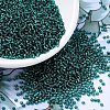 MIYUKI Round Rocailles Beads SEED-JP0008-RR0030-1
