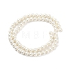 Round Shell Pearl Beads Strands BSHE-XCP0001-40B-3