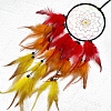 Cotton Woven Net/Web with Feather Hanging Decorations PW-WGB1C4D-01-3