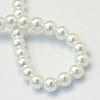 Baking Painted Pearlized Glass Pearl Round Bead Strands HY-Q330-8mm-01-4