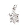 Brass Micro Pave Cubic Zirconia Charms KK-C012-30P-1