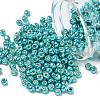 TOHO 6/0 Round Beads SEED-TR06-PF0569-1
