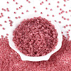 6/0 Transparent Inside Colours Glass Seed Beads SEED-N008-08L-2