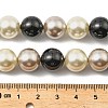 Round Shell Pearl Beads Strands BSHE-XCP0001-26B-4