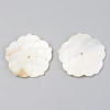 Natural Freshwater Shell Beads SSHEL-R048-001-2