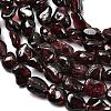Natural Garnet Beads Strands G-P601-A10-02-4