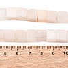 Natural Selenite Beads Strands G-B155-C08-8x8mm-5