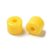 Opaque Acrylic Beads SACR-Z001-01N-2