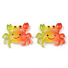Rainbow Resin Cabochons X-CRES-N024-40-1