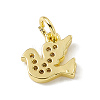 Brass Micro Pave Cubic Zirconia Charms ZIRC-F132-29G-2