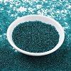 MIYUKI Round Rocailles Beads X-SEED-G007-RR2405-2