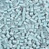 FGB Grade A Frosted Glass Seed Beads SEED-Q040-04A-02-4