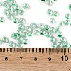 Transparent Inside Colours Glass Seed Beads SEED-A032-04G-4