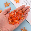 Transparent Acrylic Beads TACR-S154-58B-921-5