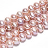 Natural Cultured Freshwater Pearl Beads Strands PEAR-N016-07B-02-1