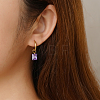 304 Stainless Steel Hoop Earrings AY4063-3-3
