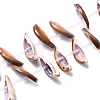 Natural Freshwater Shell Beads Strands SHEL-C001-03-1