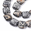 Natural Map Stone/Picasso Stone/Picasso Jasper Beads Strands X-G-N326-140H-3