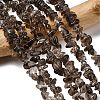 Natural Smoky Quartz Chips Beads Strands F037-1