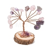 Natural Amethyst Chips Tree of Life Decorations GG-CBAEDF6-01M-2