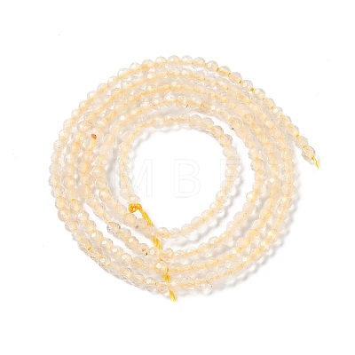 Natural Citrine Beads Strands X-G-P542-A02-01-1