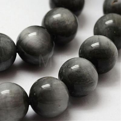 Natural Hawk's Eye Round Beads Strands G-O143-01-12mm-1