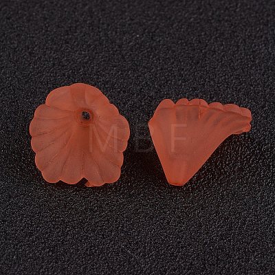 Transparent Acrylic Beads PL622-C12-1