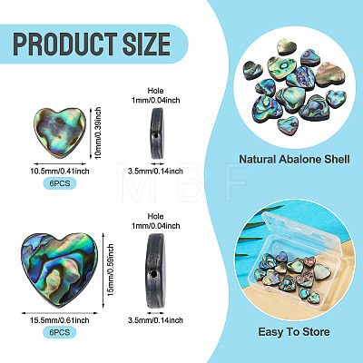 12Pcs 2 Styles Natural Abalone Shell/Paua Shell Beads SHEL-TA0001-41-1